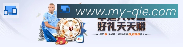 体育数据展示